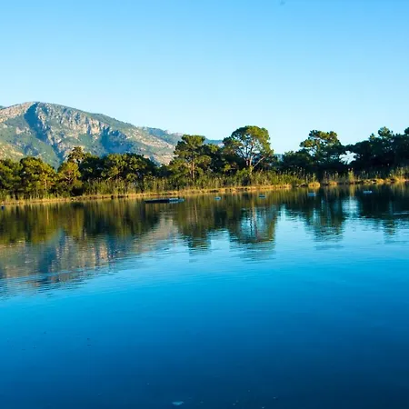 Pine & Luxury Concept Ölüdeniz