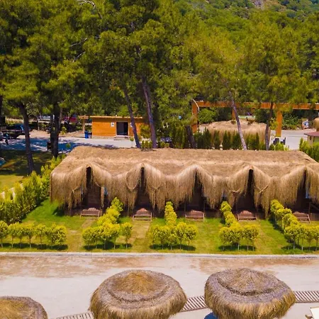 ホテル Pine & Luxury Concept