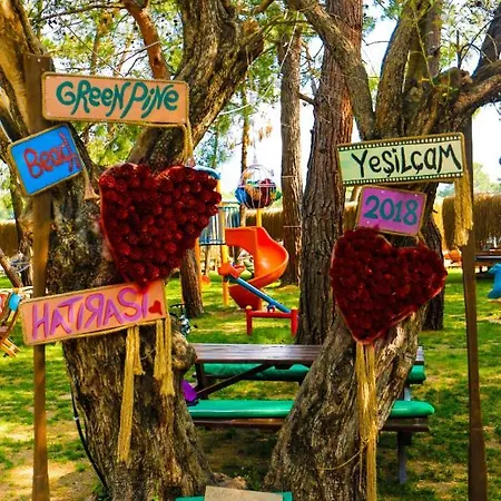 Pine & Luxury Concept Hotel *