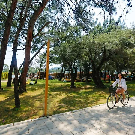 ホテル Pine & Luxury Concept