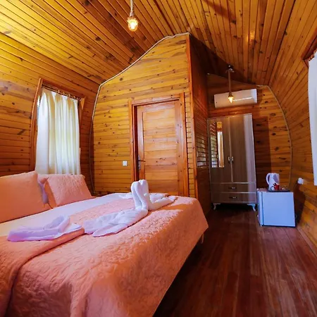 Pine & Luxury Concept