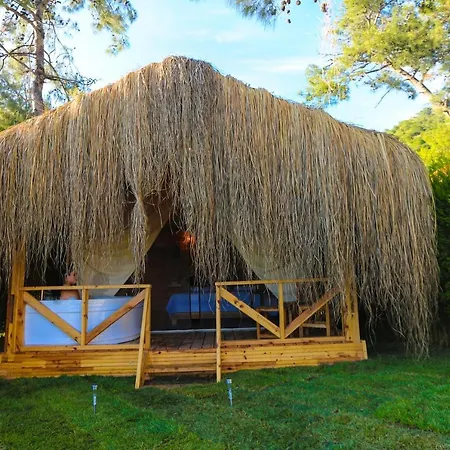 Pine & Luxury Concept Hotel Ölüdeniz