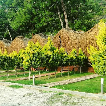 Hotel Pine *
