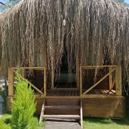 Pine * Ölüdeniz