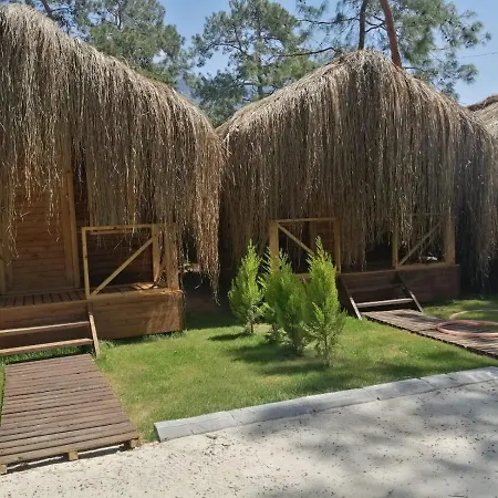 Pine Hotel