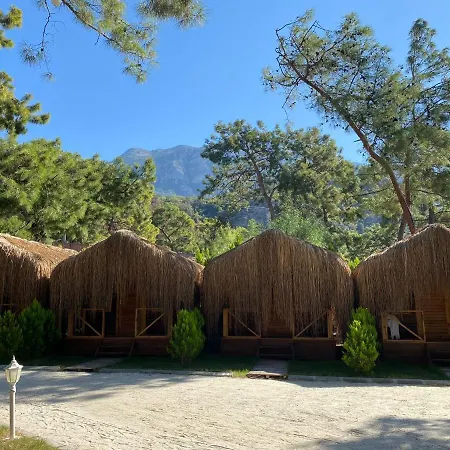 Pine Hotel *