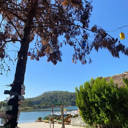 Pine * Ölüdeniz