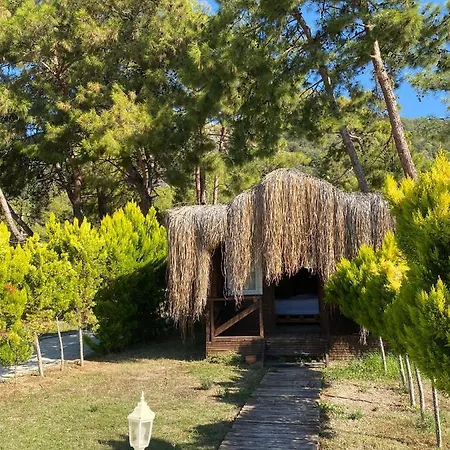 Pine Hotel *