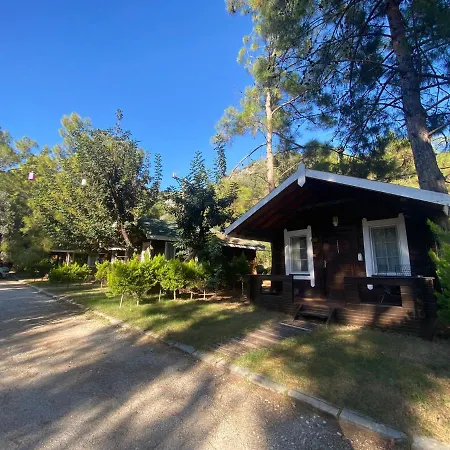 Pine Hotel