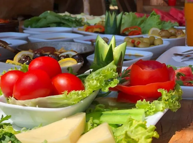 Pine & Luxury Concept *