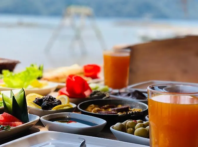 Hotell Pine & Luxury Concept