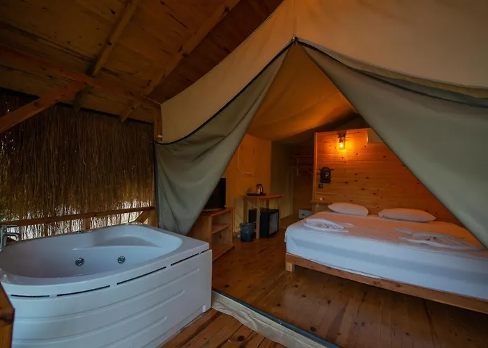 Pine & Luxury Concept