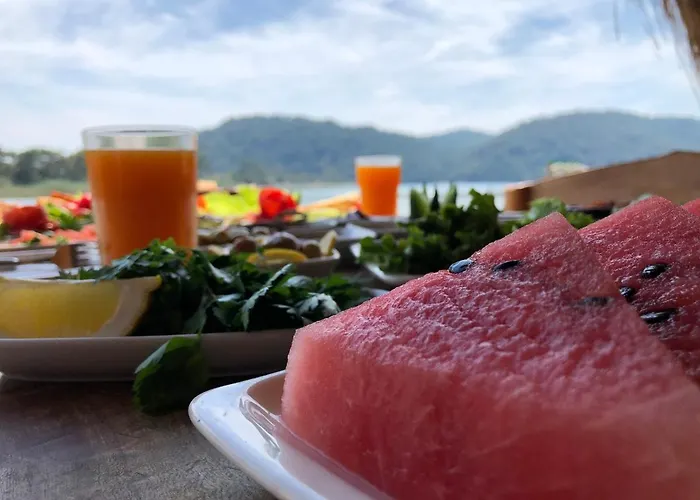 Pine & Luxury Concept Hotell *