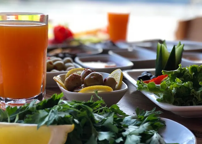 Pine & Luxury Concept Hotell *