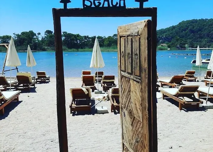 Hotell Pine & Luxury Concept