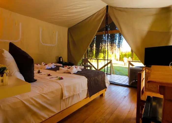 Pine & Luxury Concept Hotell *