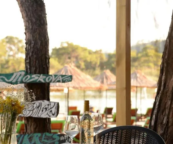 Hotell Pine & Luxury Concept