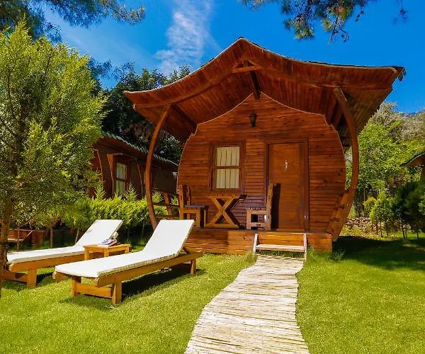 Pine & Luxury Concept *