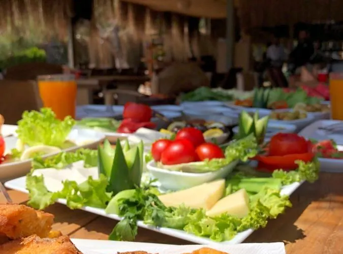 Hotell Pine & Luxury Concept *