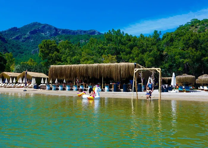 Pine & Luxury Concept Hotell *