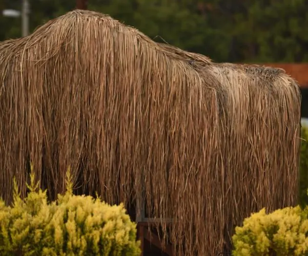 Hotell Pine & Luxury Concept