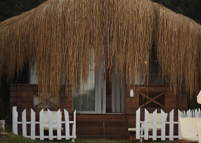 Hotell Pine & Luxury Concept