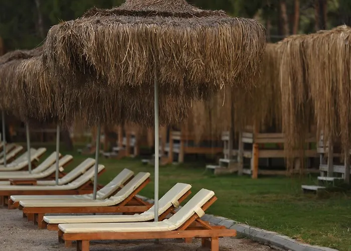 Pine & Luxury Concept Hotell *