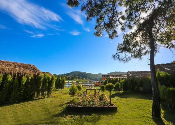 Hotell Pine & Luxury Concept *