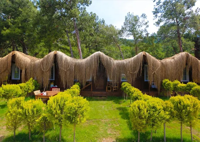 Pine & Luxury Concept Öludeniz