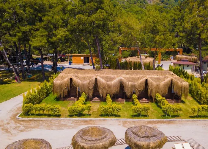 Hotell Pine & Luxury Concept