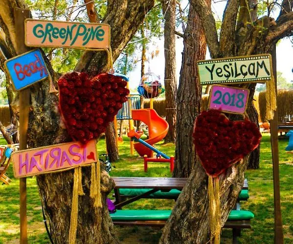 Pine & Luxury Concept Hotell *