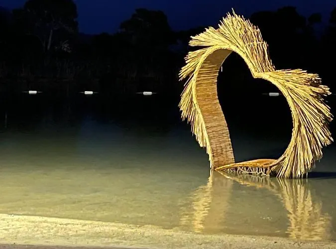 Pine & Luxury Concept