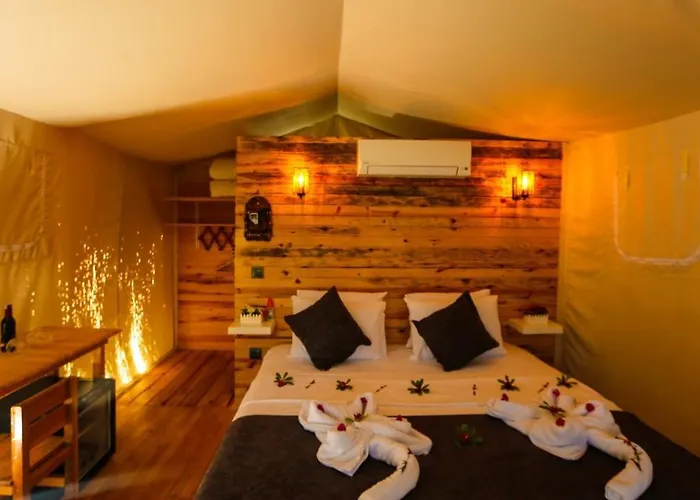 Pine & Luxury Concept Hotell *