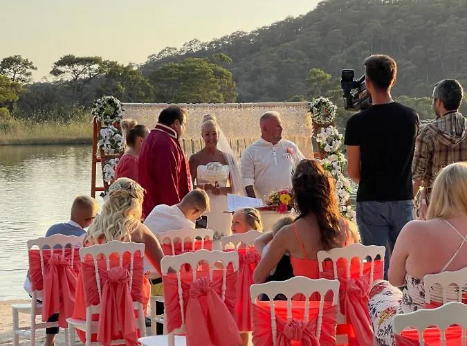 Hotell Pine & Luxury Concept