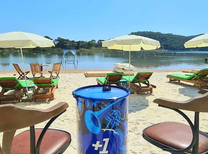 Pine & Luxury Concept