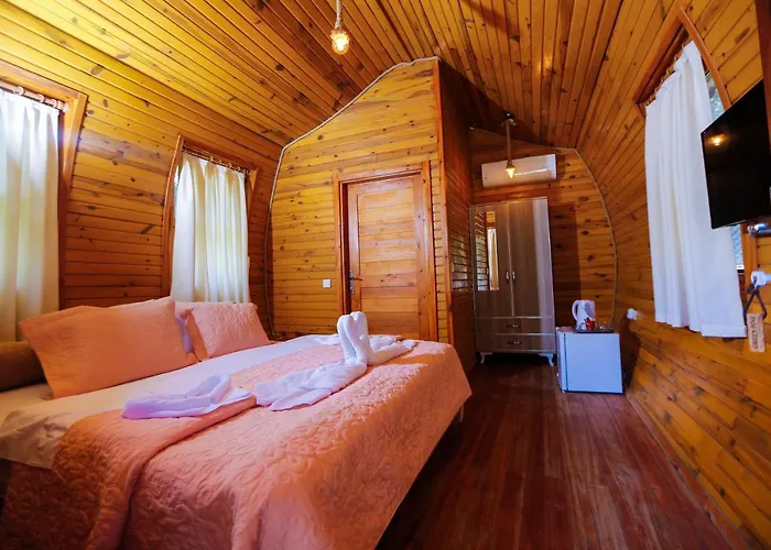 Pine & Luxury Concept