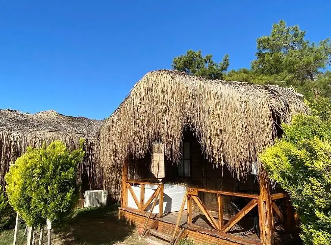 Pine & Luxury Concept Hotell