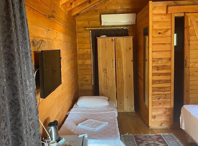 Pine & Luxury Concept