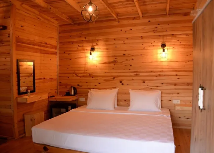 Pine & Luxury Concept *