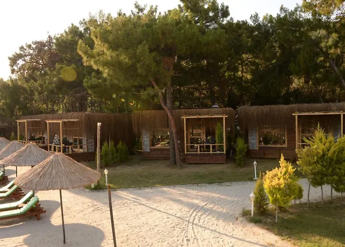 Pine & Luxury Concept Hotell