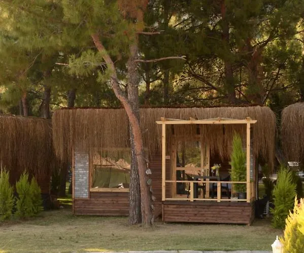 Hotell Pine & Luxury Concept *