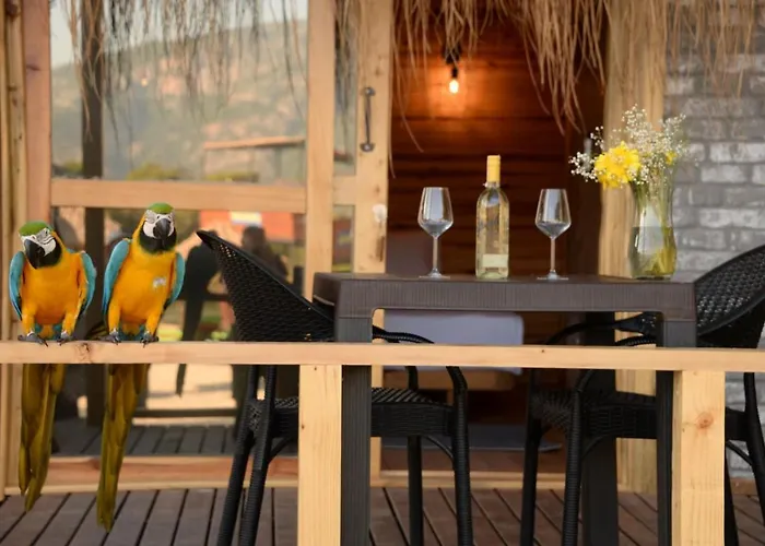 Pine & Luxury Concept Hotell